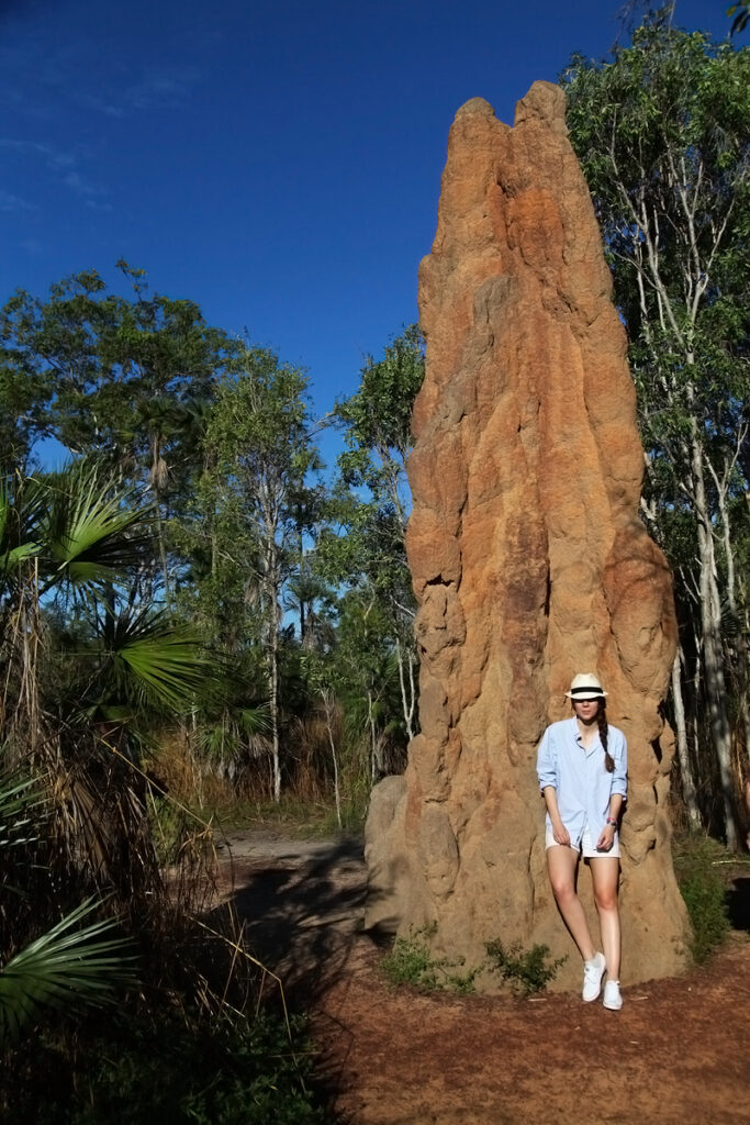 Un termitaio alto più di 4 metri